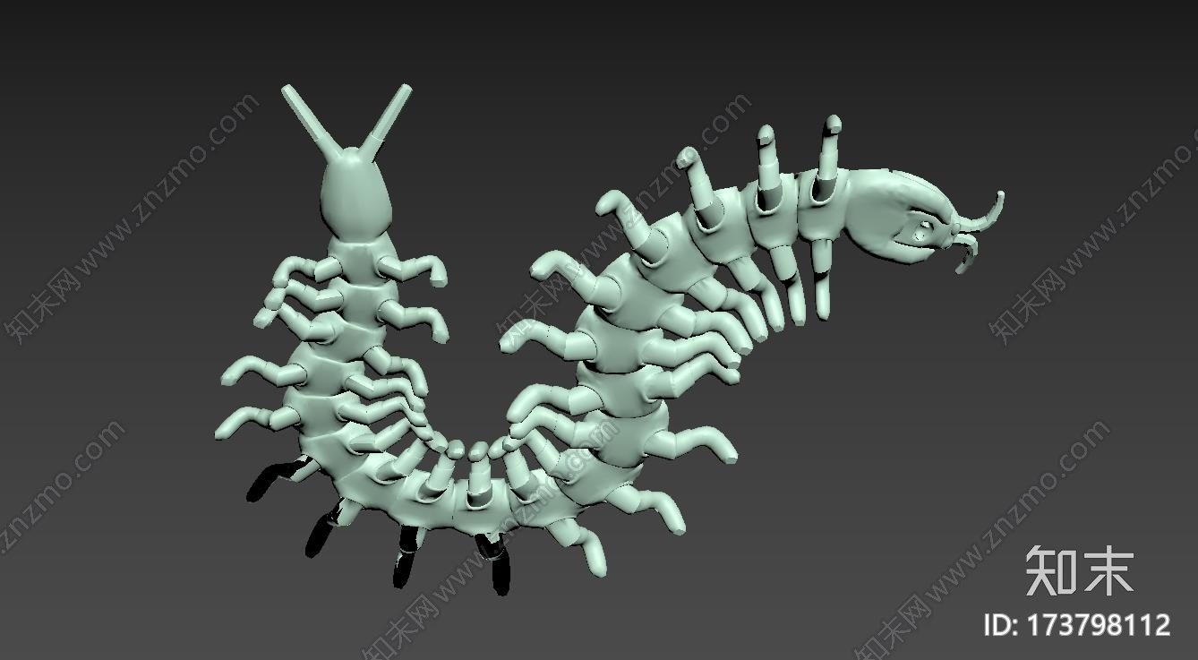蜈蚣centipede3d打印模型下载
