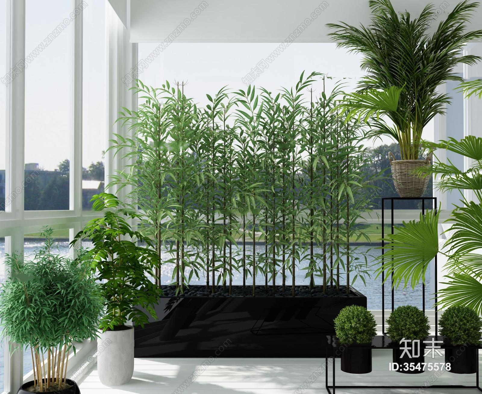 现代竹子绿植盆景组合3d模型下载【id:35475578】