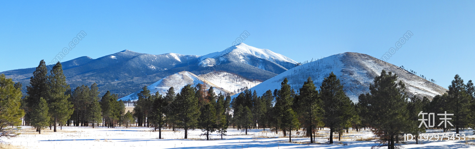 雪山森林外景图贴图下载