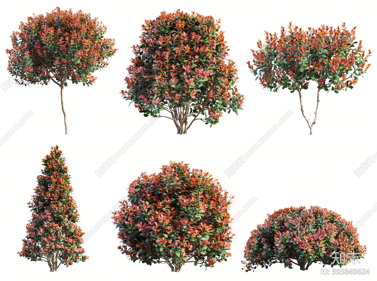 现代树木红叶石楠3d模型下载【id:395849624】