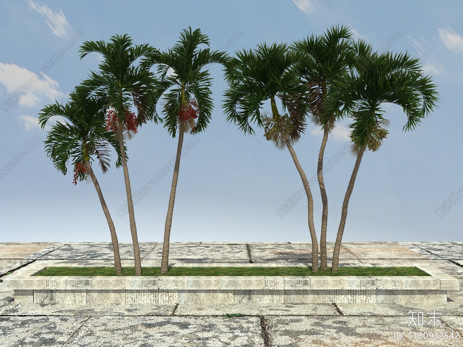 现代热带树3d模型下载