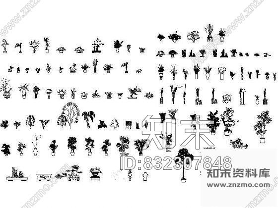 图块/节点盆景植物图块集cad施工图下载【ID:832307848】