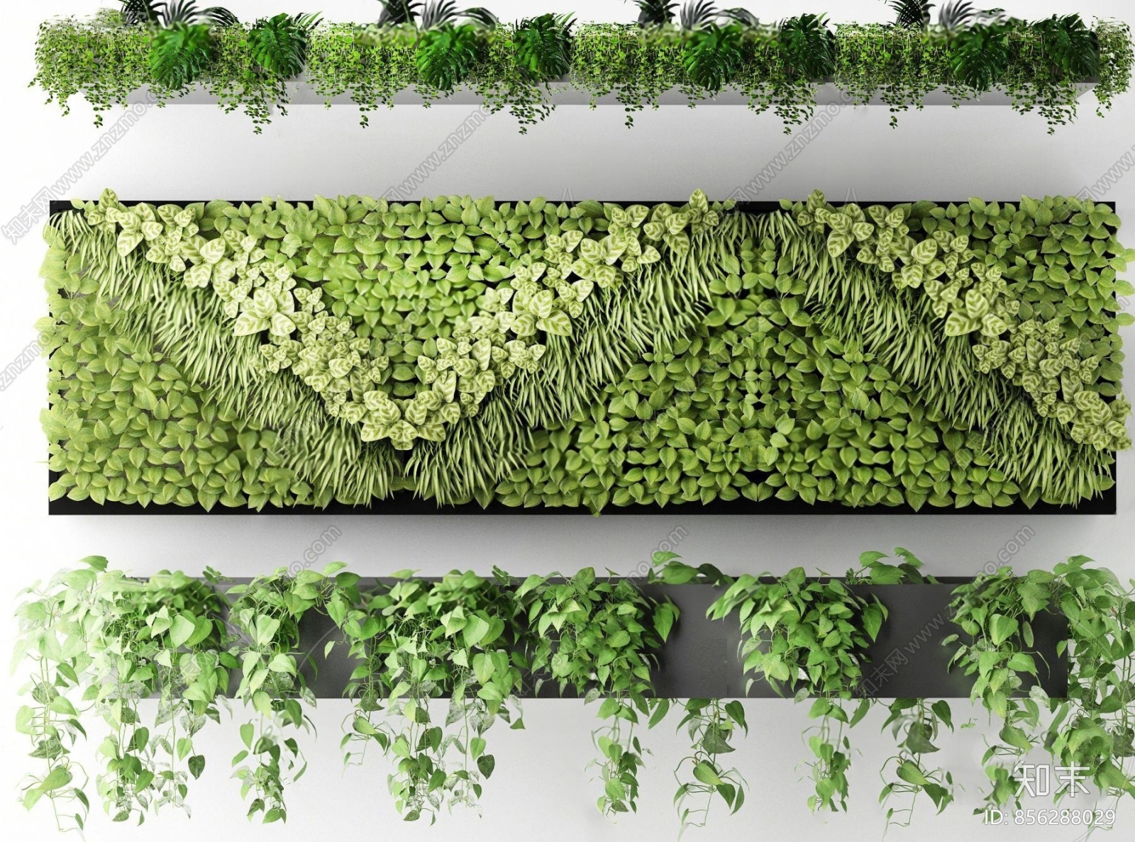 现代绿植吊兰植物墙3d模型3d模型下载