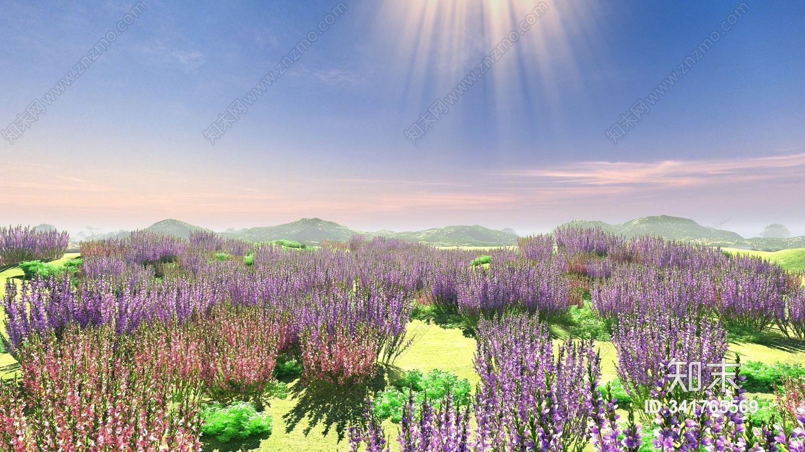 薰衣草花海3d模型下载