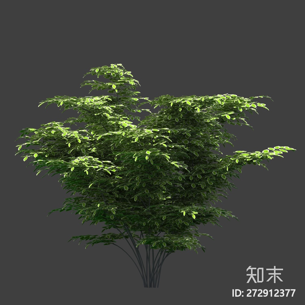 贴图库 psd素材 免抠植物高清乔木大树免抠植物(90)贴图下载 id