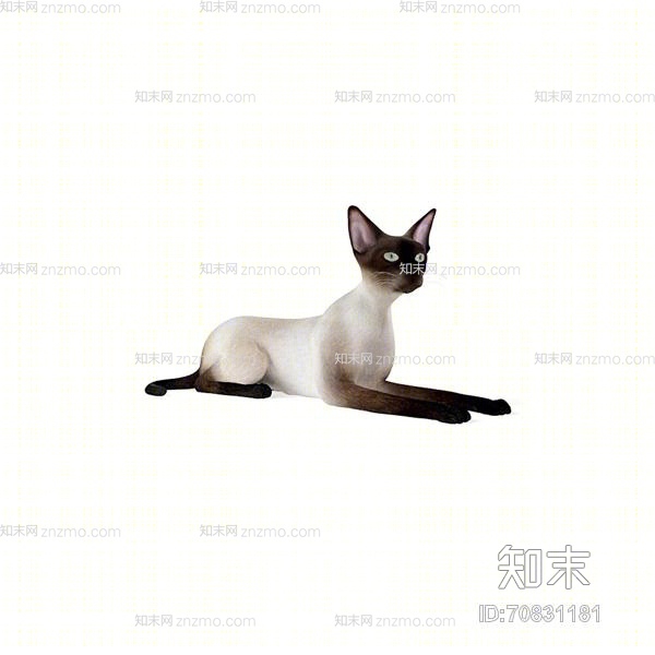 白色猫3d模型下载【id:70831181】
