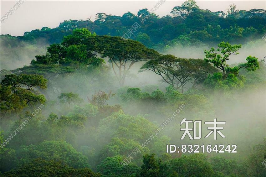 星巴克上海陆家嘴公馆店丨CAD施工图+软装挂画cad施工图下载【ID:832164242】