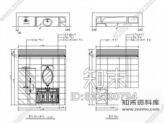 图块/节点北京某奢华别墅老人房卫生间立面图cad施工图下载【ID:832190794】