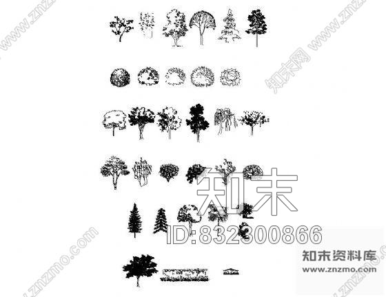 图块/节点精美植物图块集Ⅱcad施工图下载【ID:832300866】