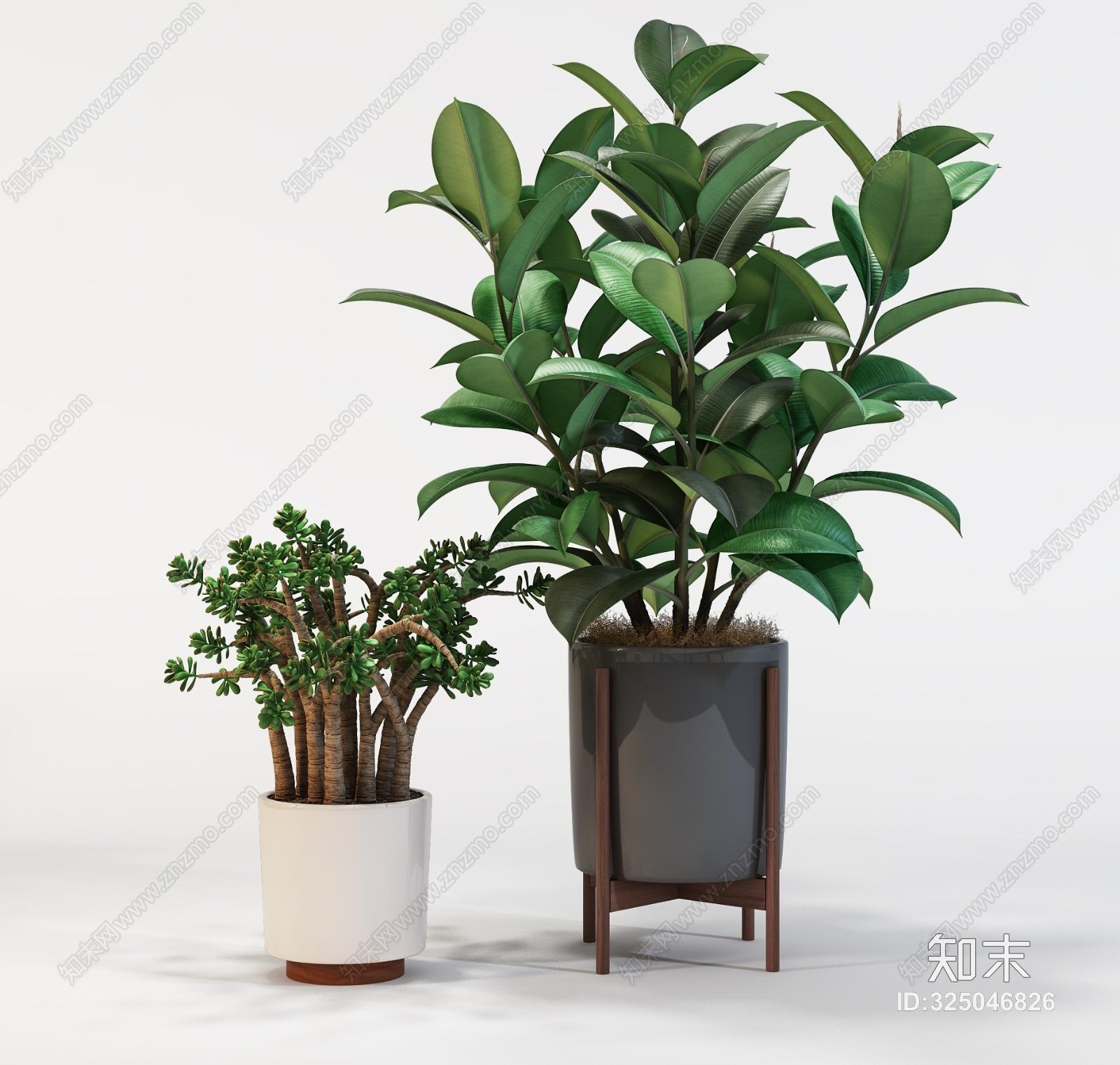 现代盆景植物绿植组合3d模型下载【id:325046826】