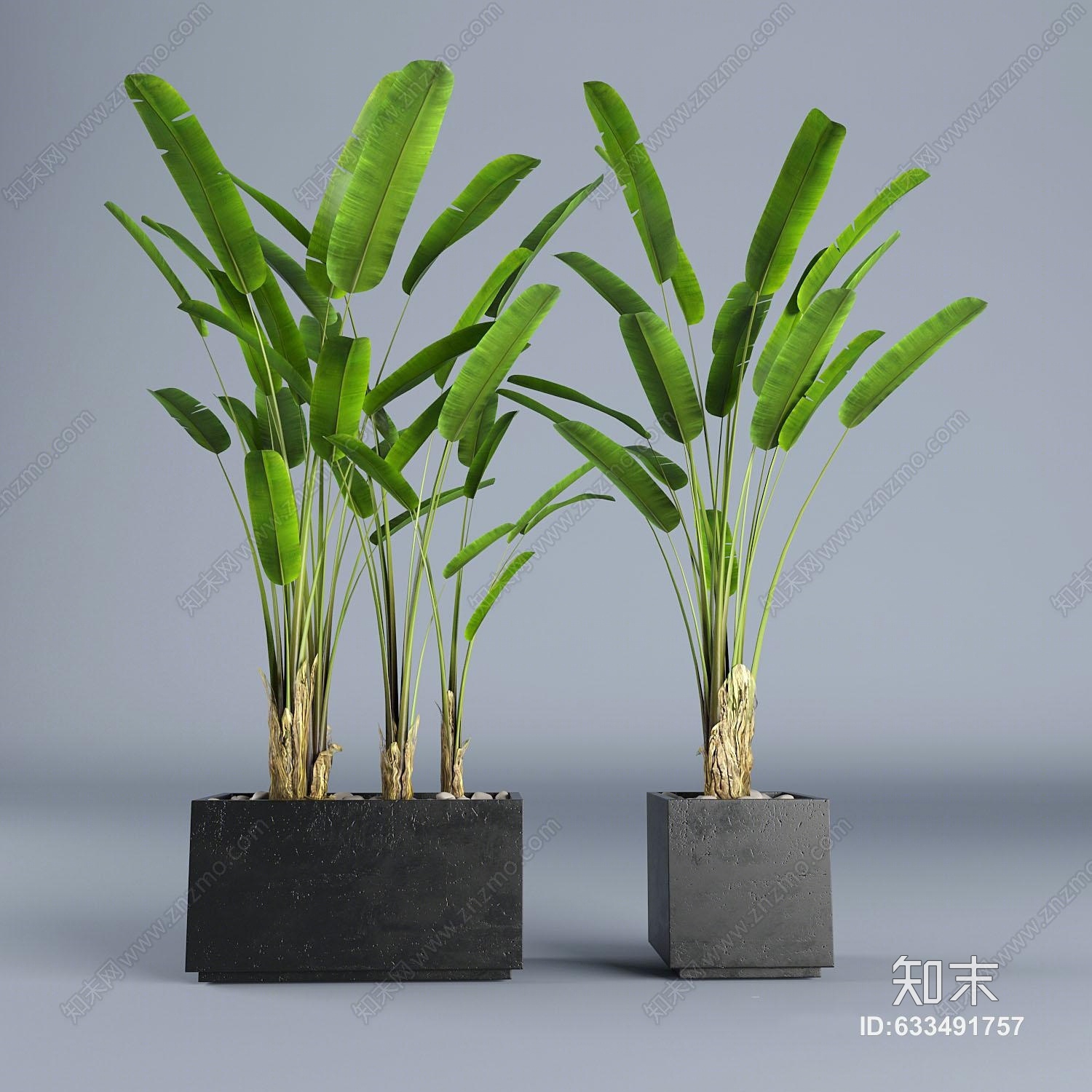 现代盆栽植物花台芭蕉花坛3d模型下载