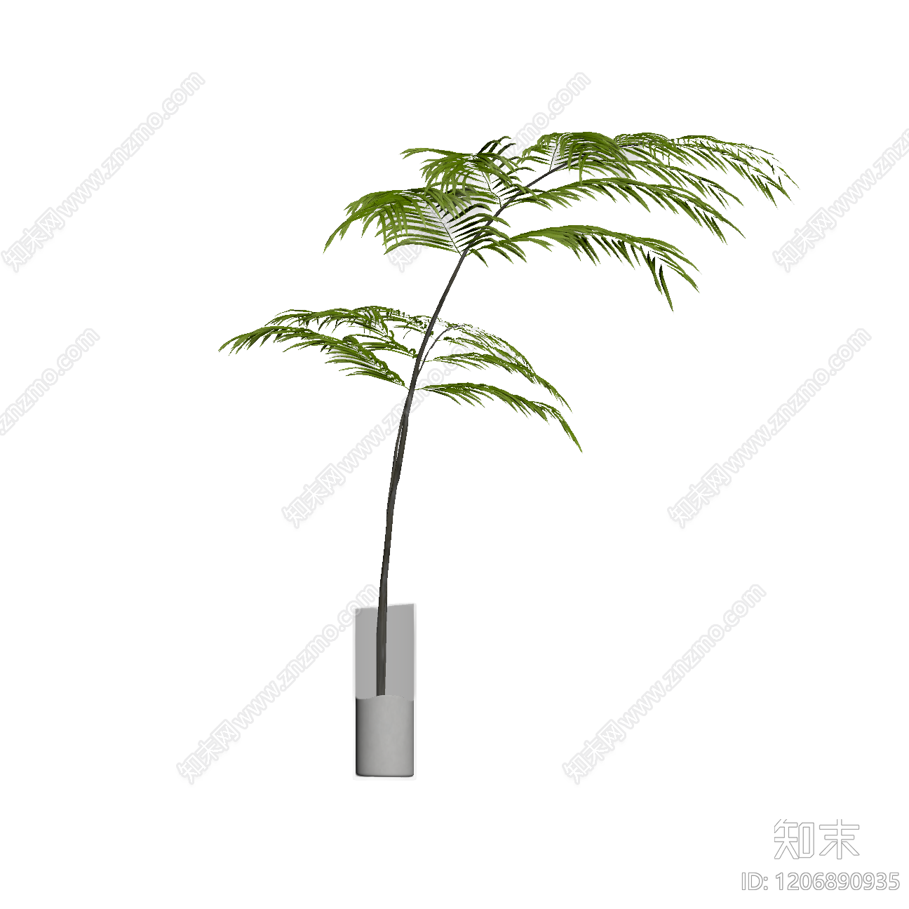 盆栽植物带花盆3D模型下载【ID:1206890935】
