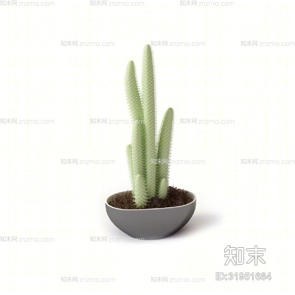 绿色盆栽3D模型下载【ID:31951684】