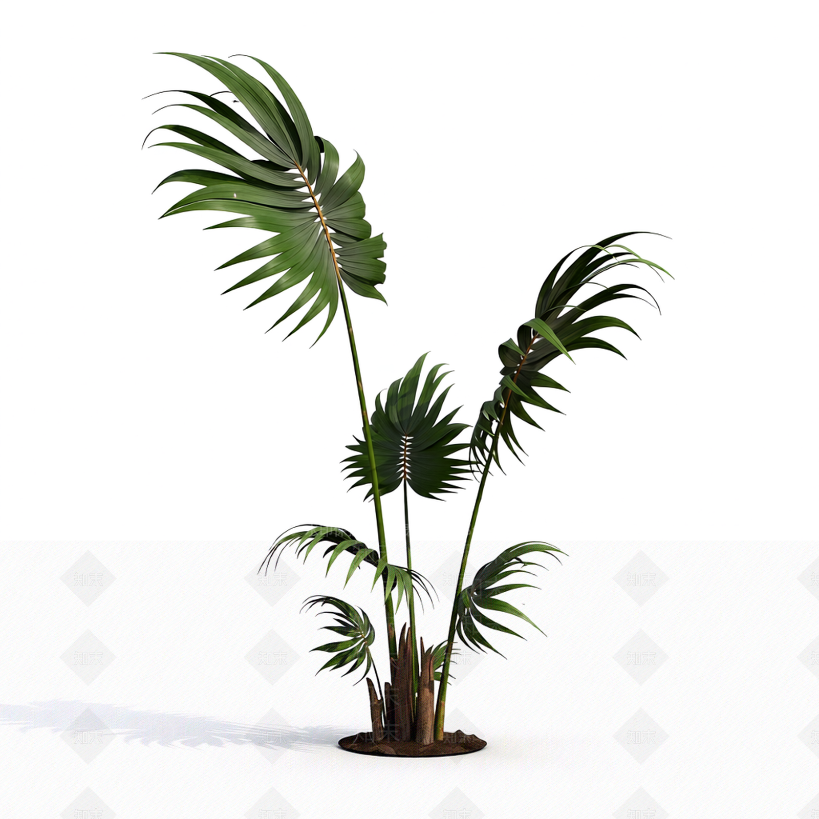 带土完整盆栽植物3D模型下载【ID:1206199974】