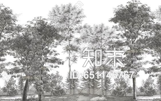壁纸高清贴图材质