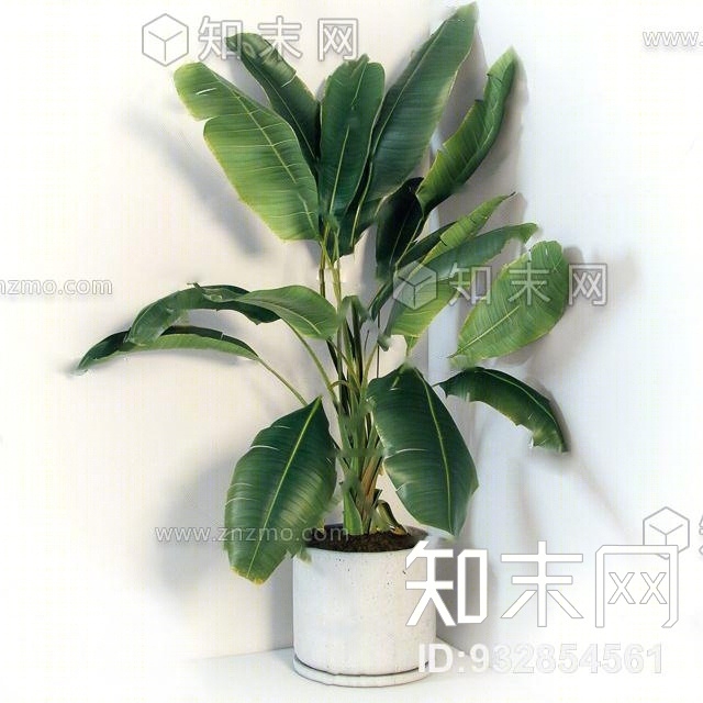 现代芭蕉树盆栽3D模型下载【ID:932854561】