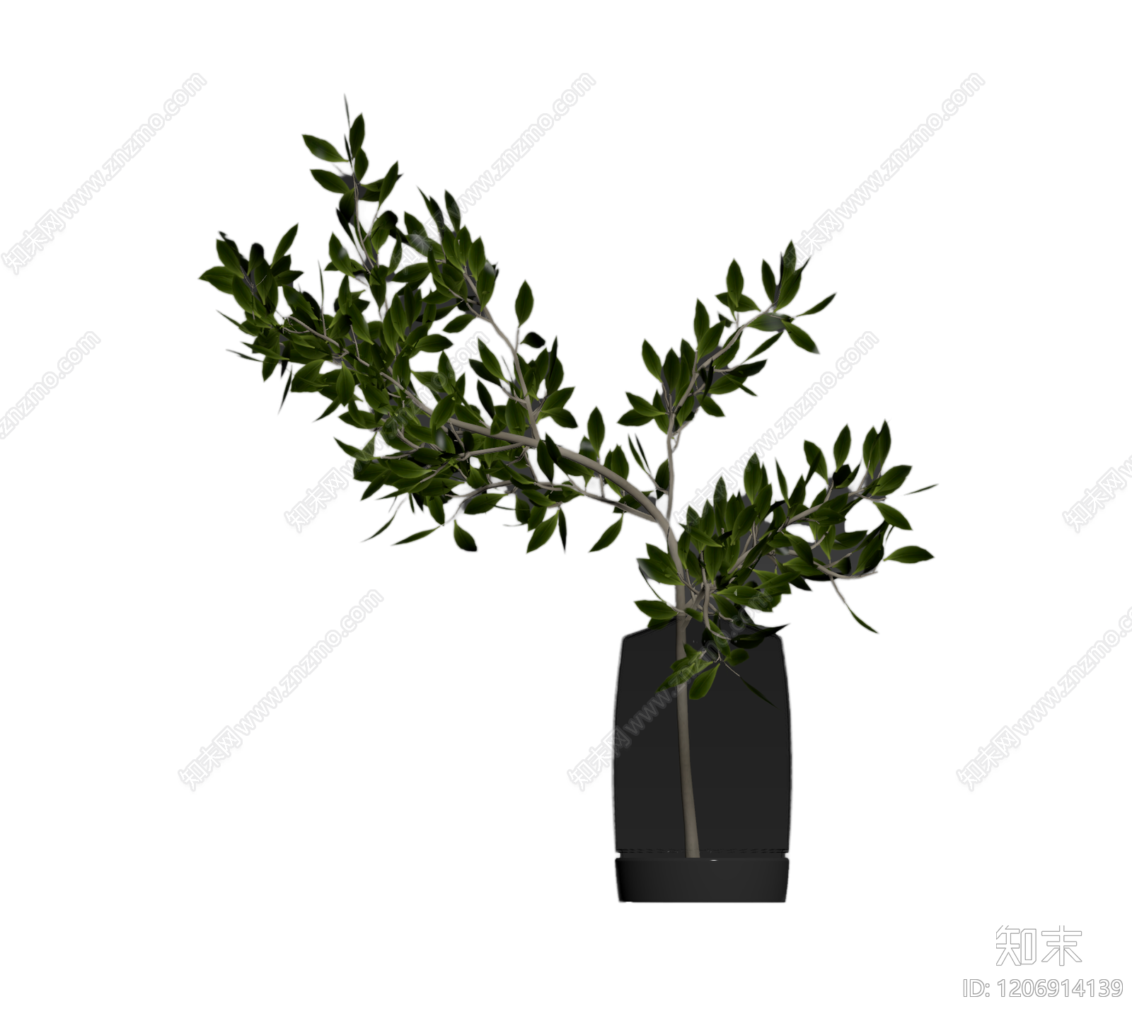 盆栽植物装饰3D模型下载【ID:1206914139】