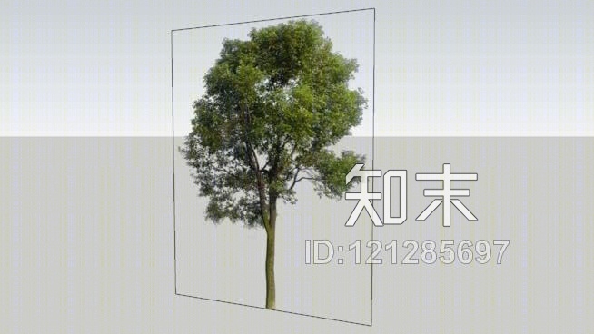 树2DSU模型下载【ID:121285697】