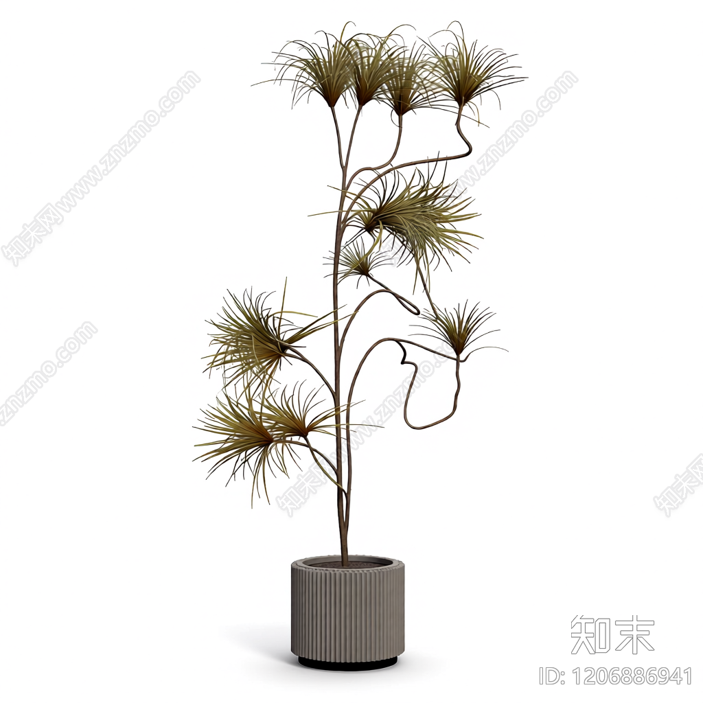 盆栽植物装饰品3D模型下载【ID:1206886941】