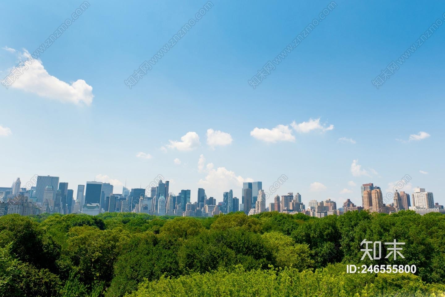 都市室外风景贴图下载【ID:246555800】