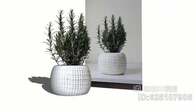 花盆03SU模型下载【ID:625107906】