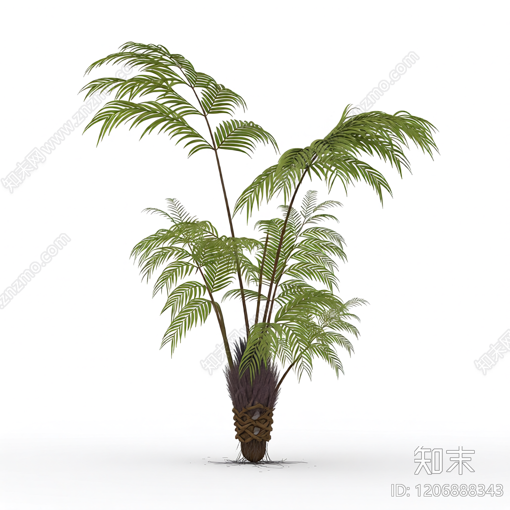 盆栽蕨类植物3D模型下载【ID:1206888343】