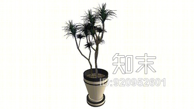 装饰品--花盆SU模型下载【ID:920952601】