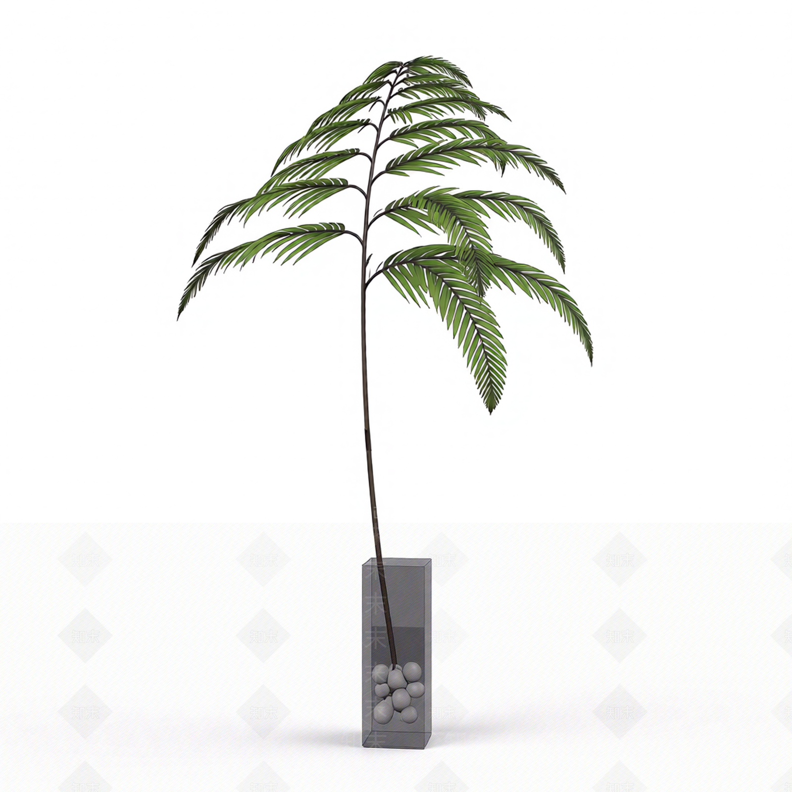 带盆绿植模型3D模型下载【ID:1206183876】