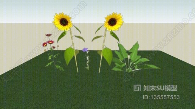 花SU模型下载【ID:135557553】