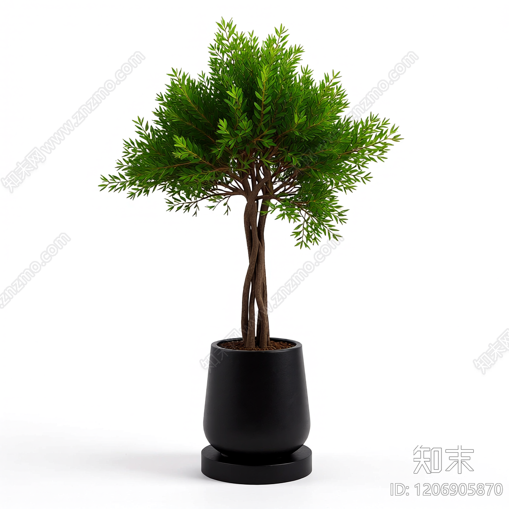 盆栽植物装饰3D模型下载【ID:1206905870】