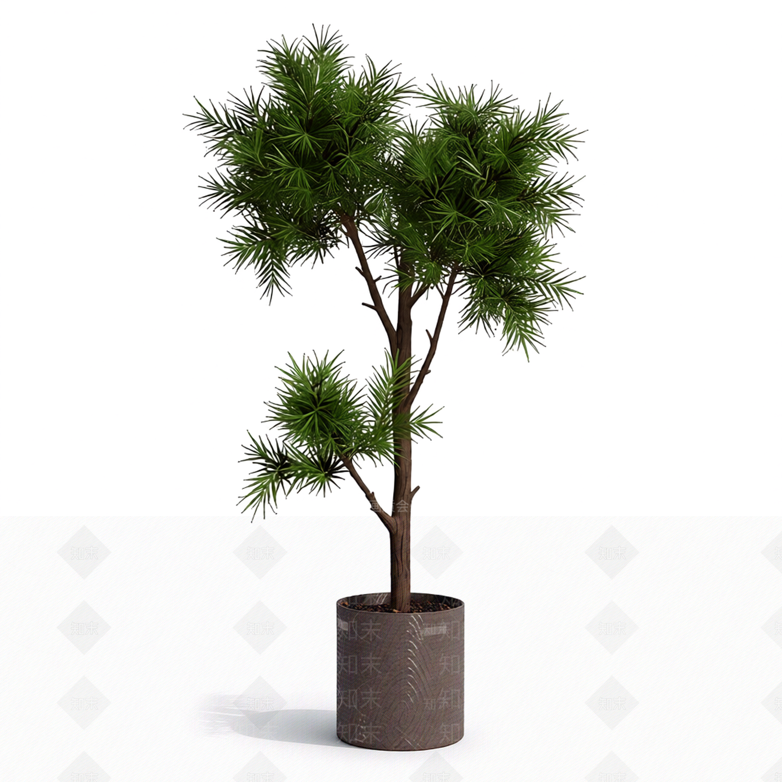 带盆完整盆栽3D模型下载【ID:1206182280】