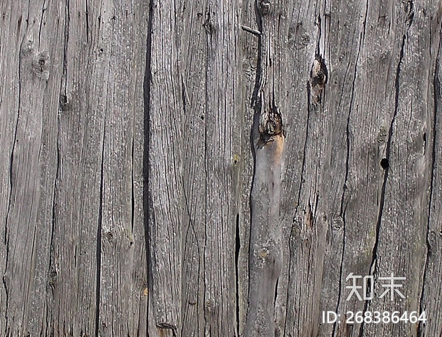 树皮贴图下载【ID:268386464】