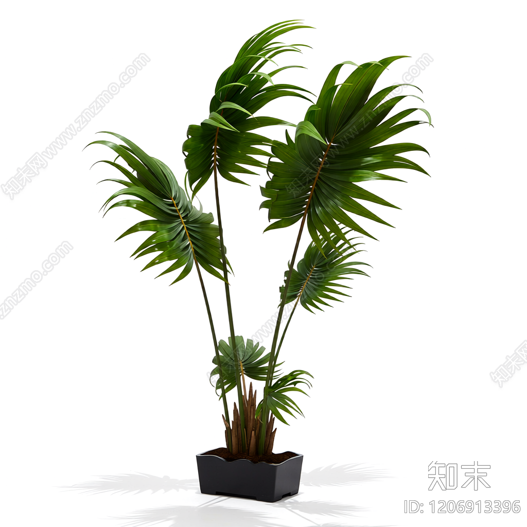 盆栽棕榈植物3D模型下载【ID:1206913396】