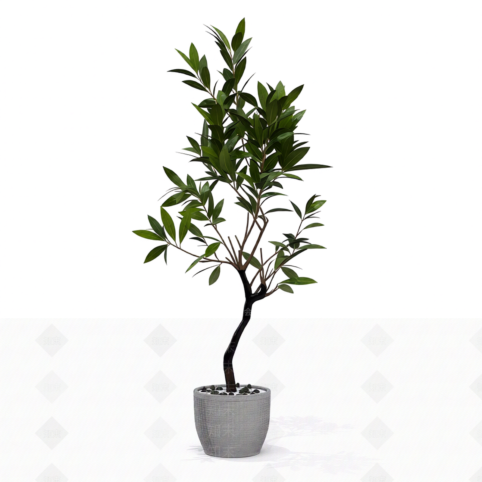 带盆绿植盆栽3D模型下载【ID:1206192479】