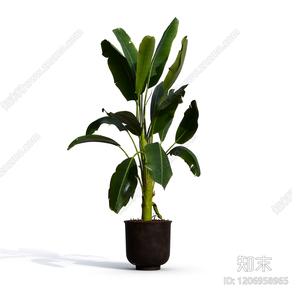 盆栽植物装饰3D模型下载【ID:1206958965】