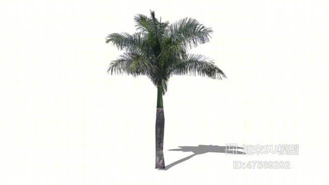 树SU模型下载【ID:119274641】