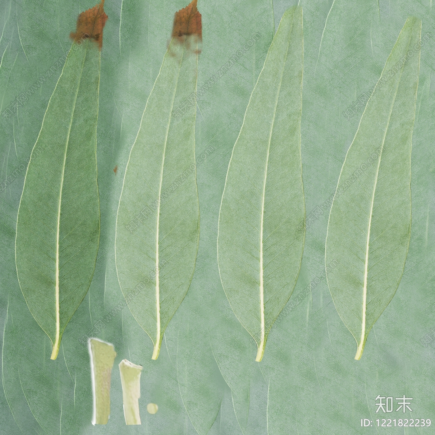 绿植墙高清贴图材质
