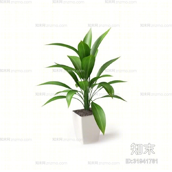 绿色盆栽3D模型下载【ID:31941781】