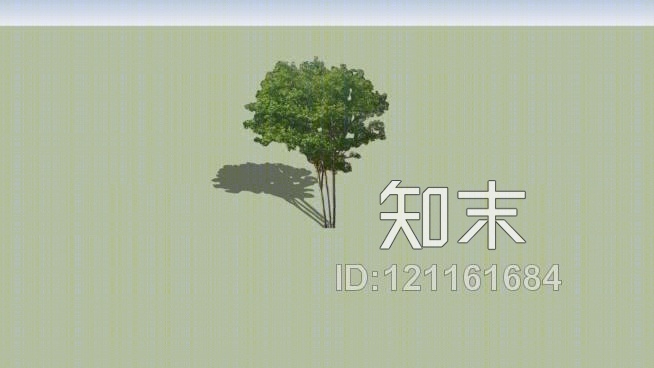 二维绉紫薇树SU模型下载【ID:121161684】