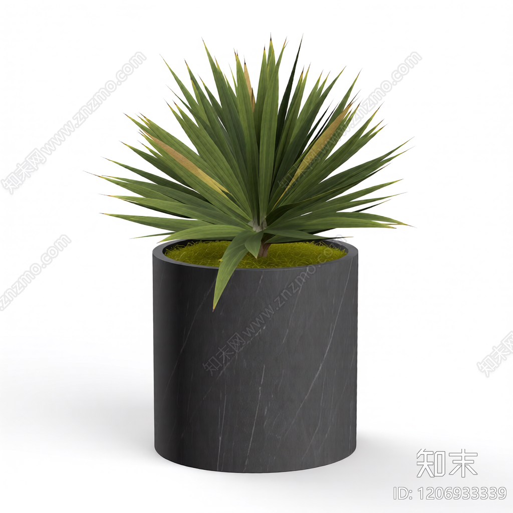 盆栽植物装饰3D模型下载【ID:1206933339】