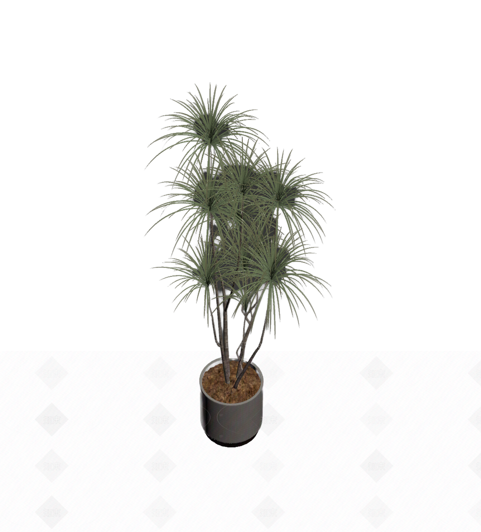 带盆绿植盆栽3D模型下载【ID:1206196431】