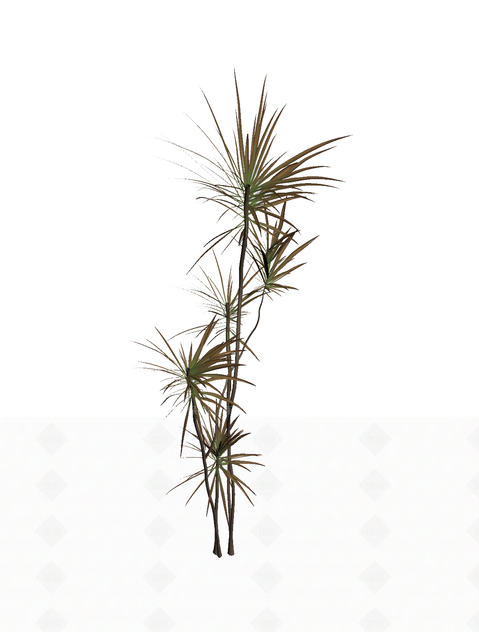 多枝棕榈植物模型3D模型下载【ID:1206185310】