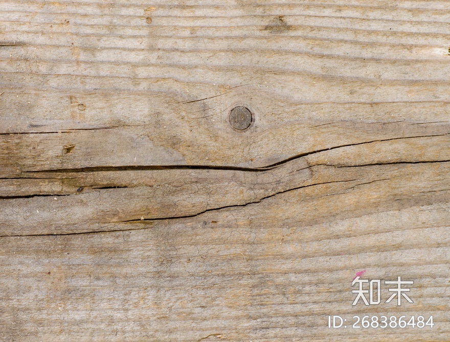 树皮贴图下载【ID:268386484】