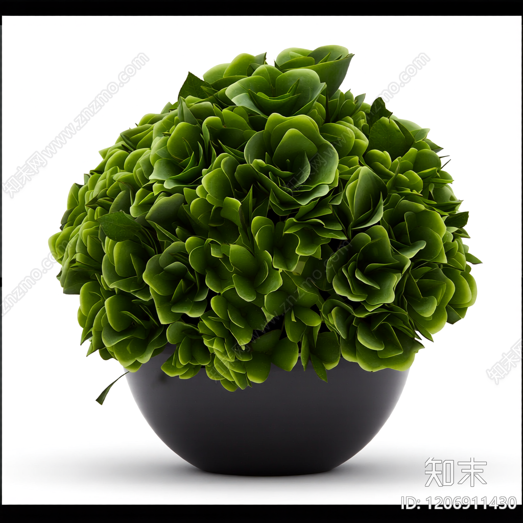 盆栽植物装饰3D模型下载【ID:1206911430】