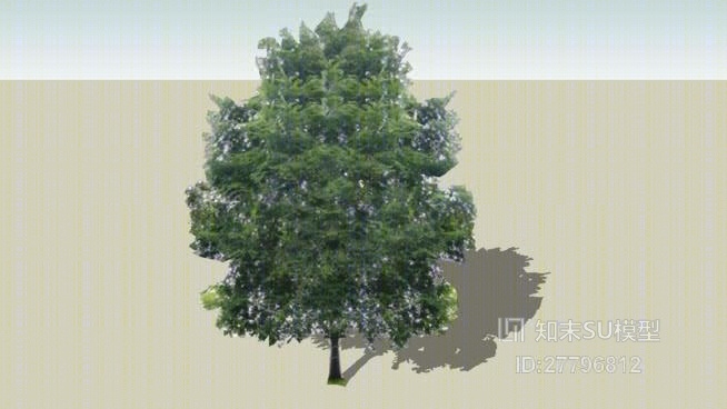 树SU模型下载【ID:27796812】