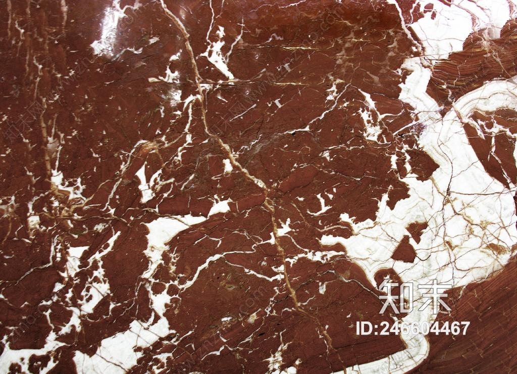 子非鱼贴图下载【ID:246604467】