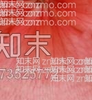 花瓣贴图下载【ID:73525772】