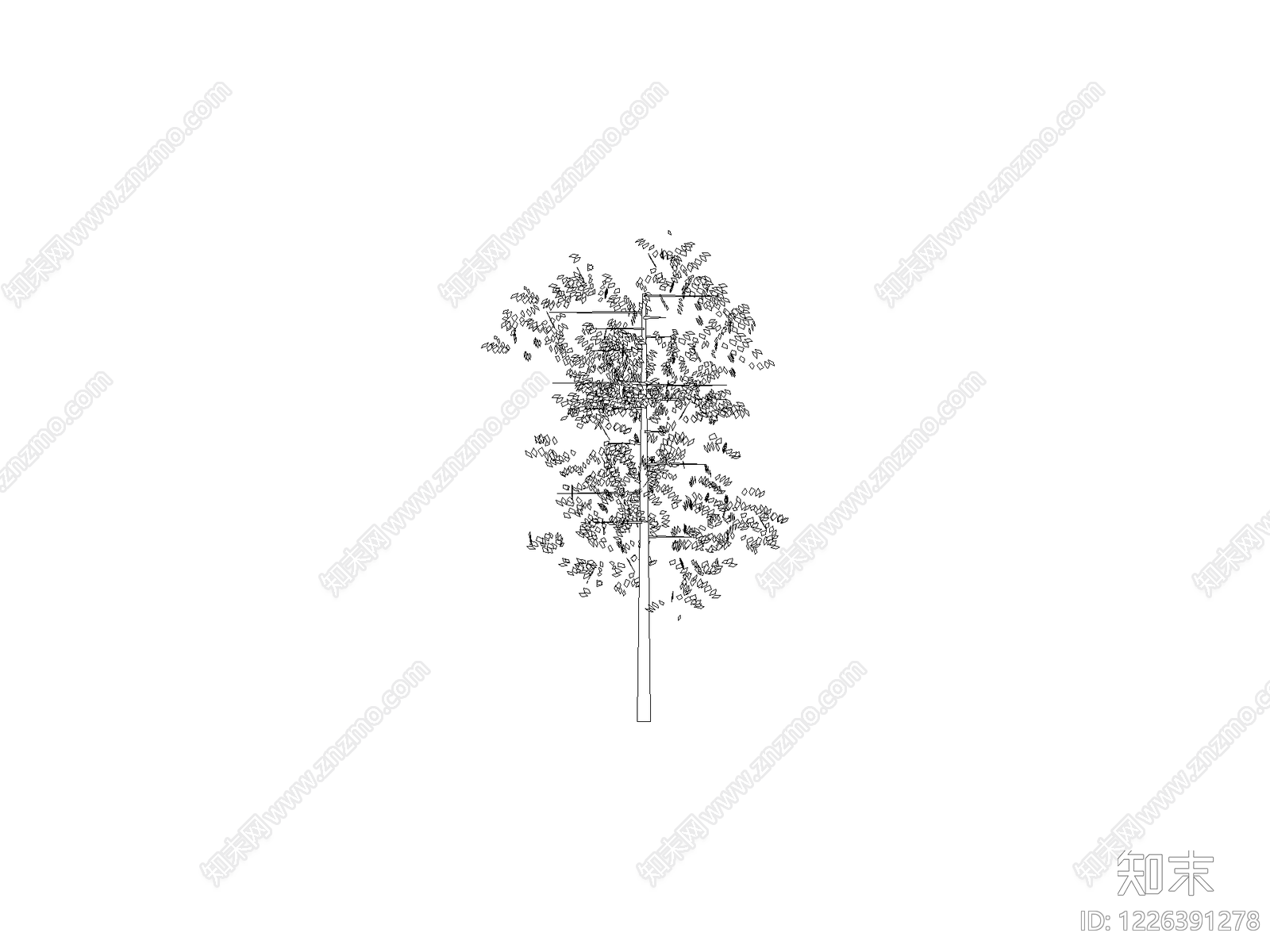 乔木种植CAD图纸