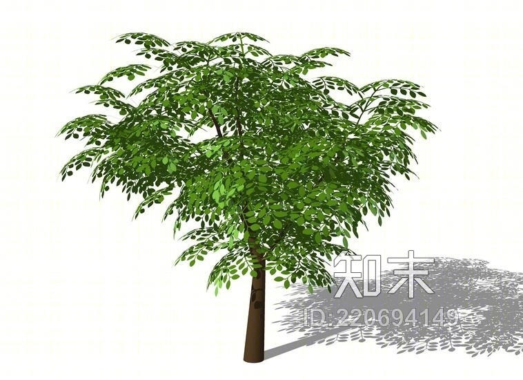 3D植物树SU模型下载【ID:220694149】