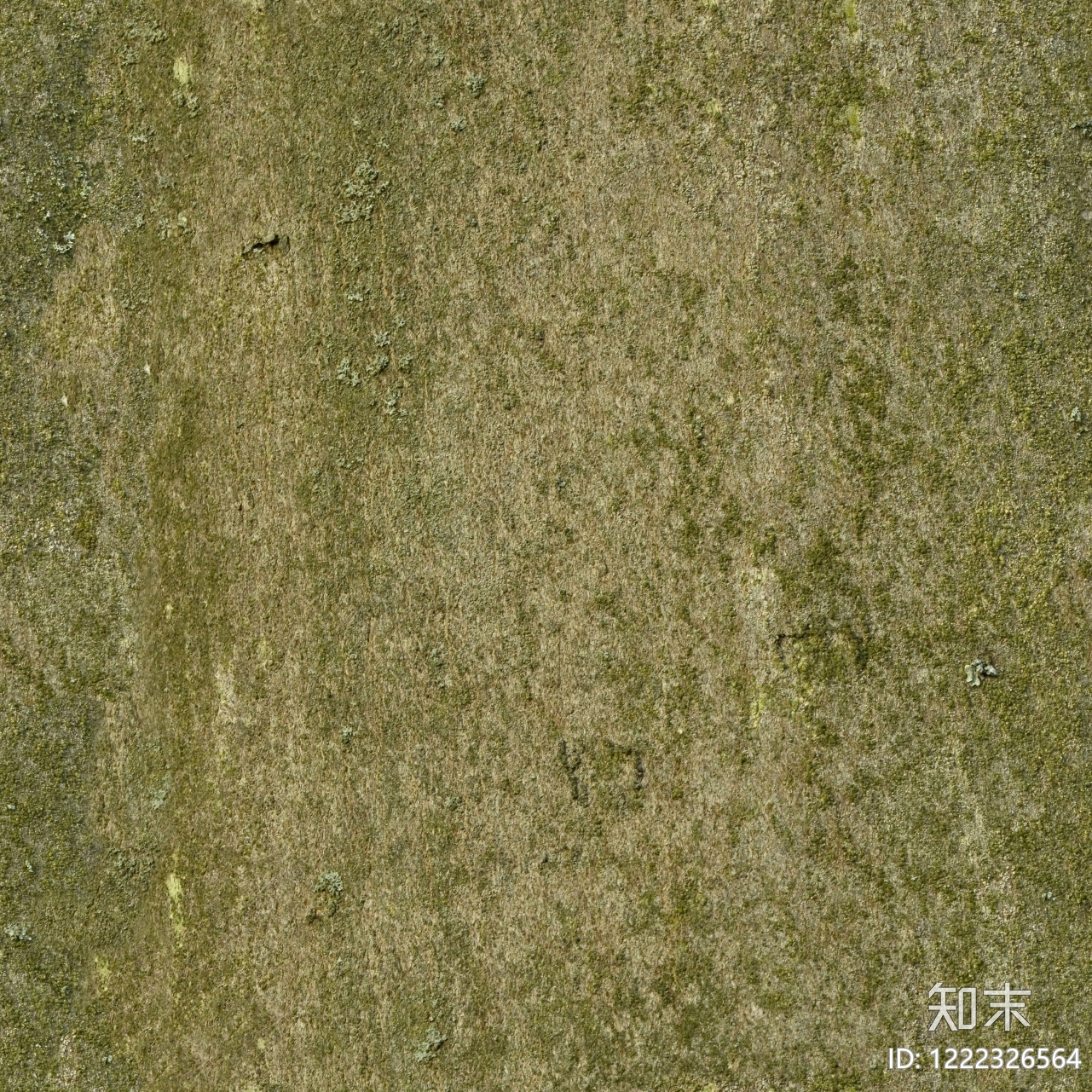 苔藓纹理高清贴图材质